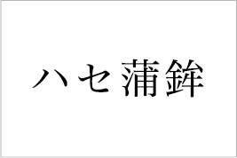 有限会社　ハセ蒲鉾