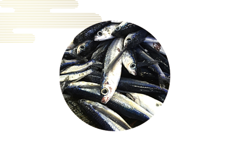 素材へのこだわり